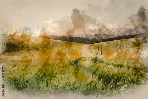 Digital watercolour painting of Summer landscape image of wheat field at sunset with beautiful light © veneratio