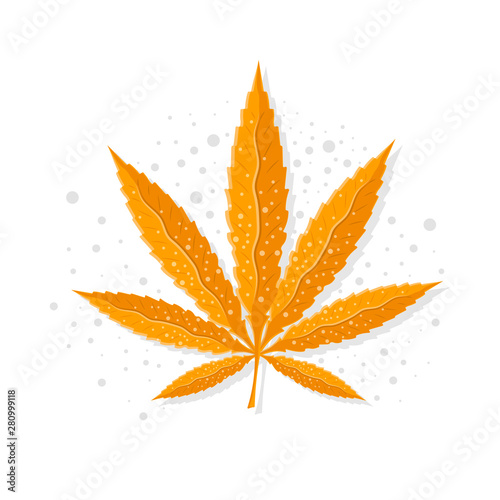 Marijuana yellow hemp .Cannabis sativa or Cannabis indica leaf on white background.Glat marijuana leaf logo design.