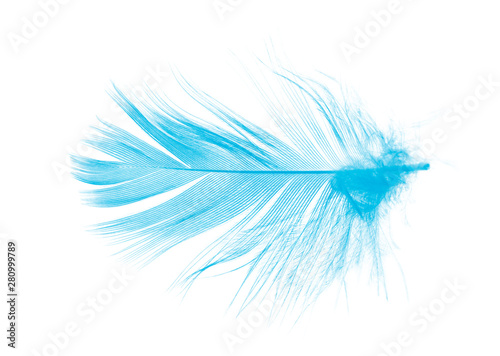 Beautiful feather color blue isolated on white background