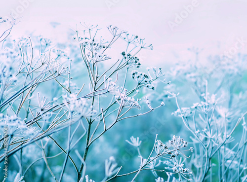 delicate openwork flowers i...