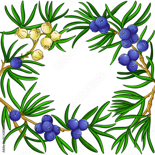 juniper vector frame