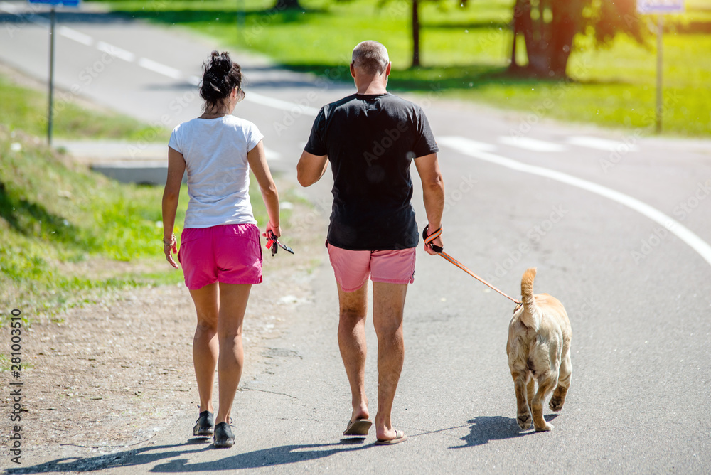 Obraz premium Man and woman walking with a dog in the Park 