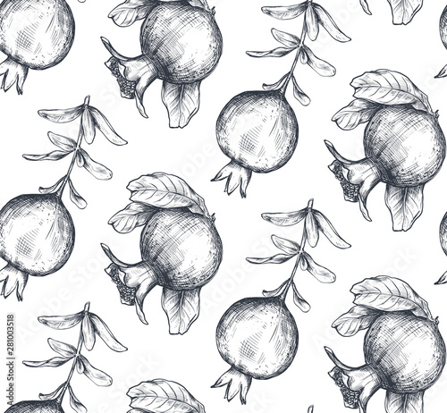 Vector seamless pattern with pomegranate fruits, branches.