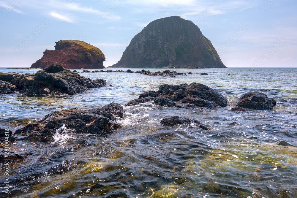 Obraz premium The volcanic rock or Giant Causeway near the canaries island has many beautiful coral reef underneath