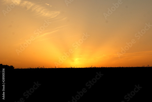 coucher de soleil dans les champs