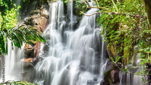 Fototapeta Naklejka Na Ścianę i Meble -  Beautiful cascading waterfall in a dense jungle gully - nature, landscape and natural environment image.