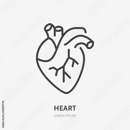 Heart flat line icon. Vector thin pictogram of human internal organ, outline illustration for cardiology clinic