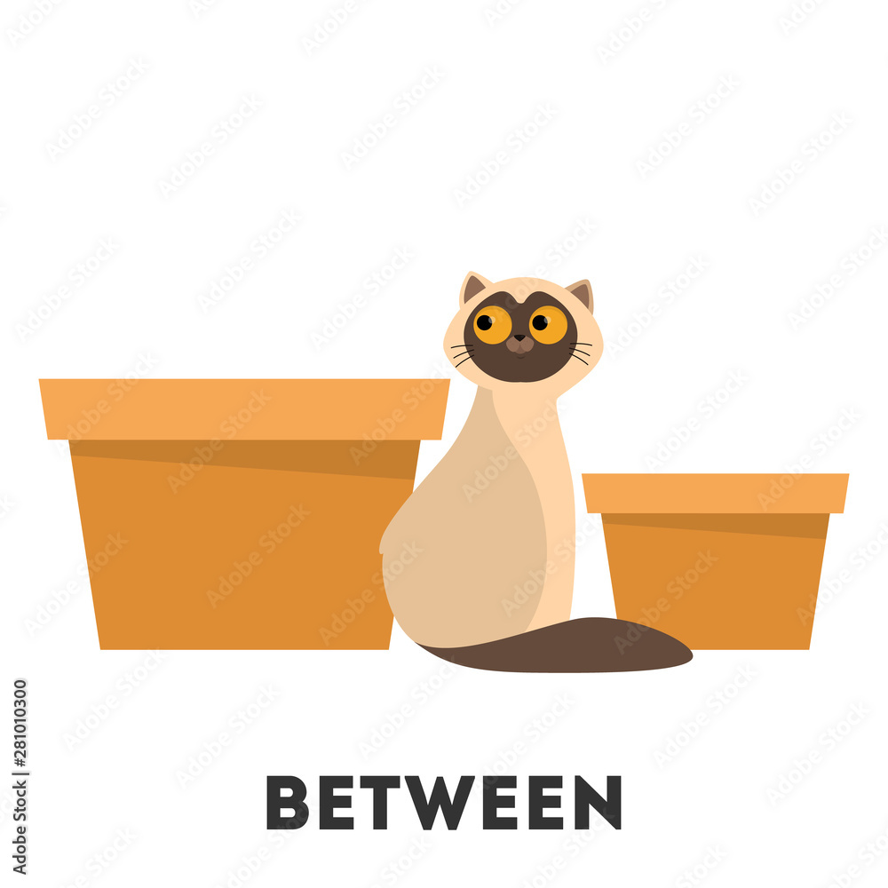 Cat With Box Preposition Between Cartoon Illustration Visual | The Best ...