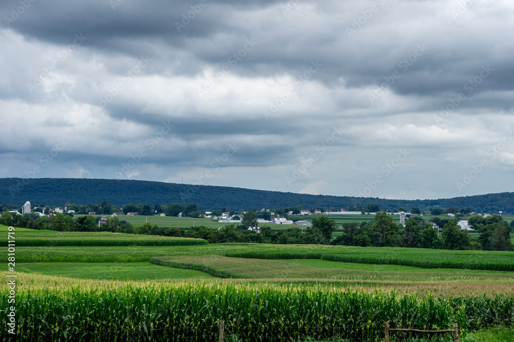 Farmlands in Summertime