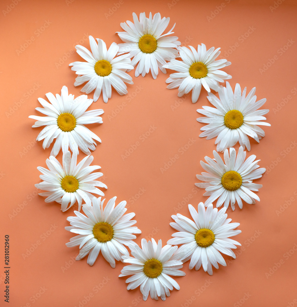 0, arabic numeral. Happy New Year 2020. Large daisies. 0, arabic numeral. Happy New Year 2020. Large daisies.