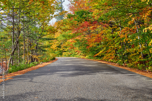 Autumn scene with road in in White Mountain National Forest  New Hampshire  USA. Fall in New England.