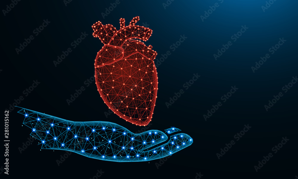 Hand and human heart low poly design, human organ donor in polygonal style, cardiology wireframe vector illustration made from points and lines on dark blue background Hand and human heart low poly design, human organ donor in polygonal style, cardiology wireframe vector illustration made from points and lines on dark blue background