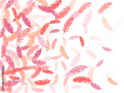 Detailed majestic feather on white design.