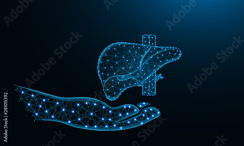 Hand and liver low poly design, human organ donor in polygonal style, exocrine gland wireframe vector illustration made from points and lines on dark blue background