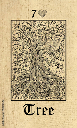 Tree. Tarot card from Lenormand Gothic Mysteries oracle deck. photo