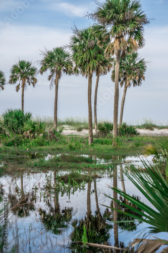 Beach scenes at hunting island south carolina © digidreamgrafix