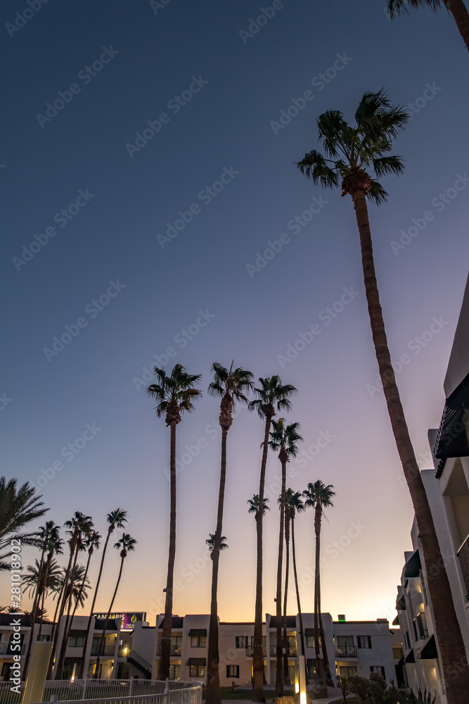 early morning with sunrise at hotel and palm trees