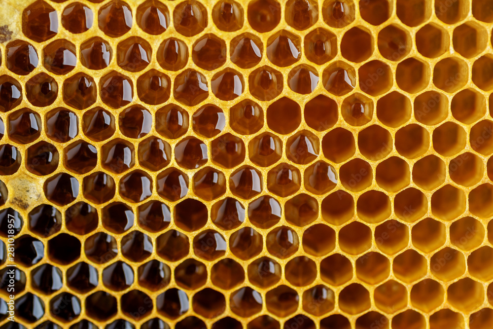 Honeycomb with honey and pollen. Close-up background with selective focus. Honeycomb with honey and pollen. Close-up background with selective focus.