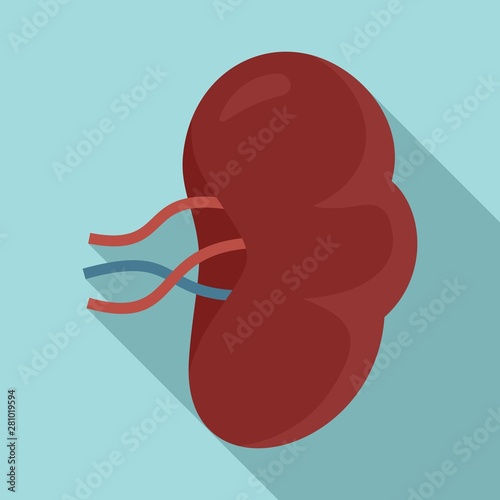 Spleen icon. Flat illustration of spleen vector icon for web design photo
