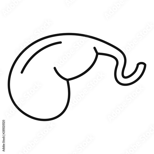 Gallbladder icon. Outline gallbladder vector icon for web design isolated on white background