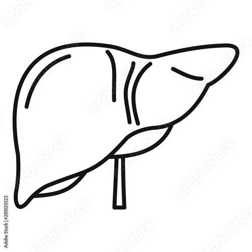 Human liver icon. Outline human liver vector icon for web design isolated on white background