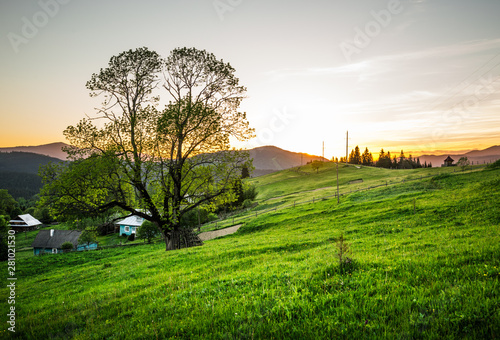 Houses on the background of the beautiful Carpathian forests.