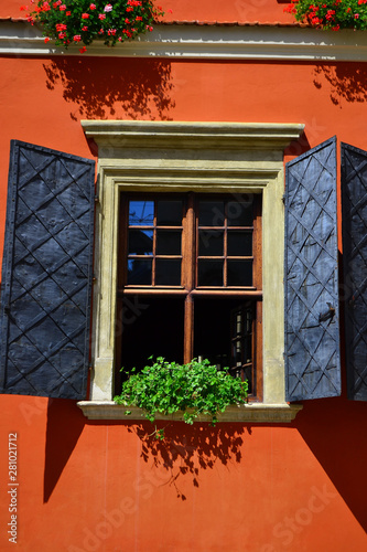 Old beautiful window with greenery