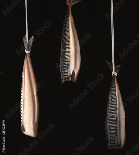 silver mackerel on a black background