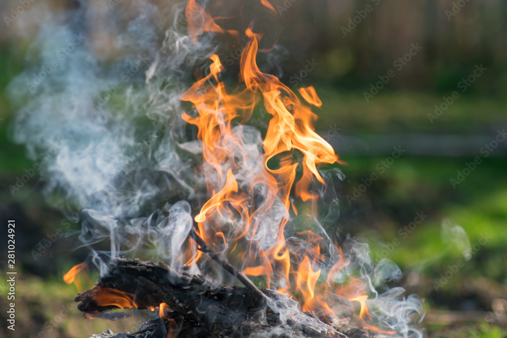 Bonfire close up with blurred background. Camping concept Bonfire close up with blurred background. Camping concept
