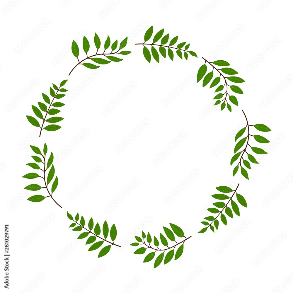 Frame for highlights white background with rowan leaves, vector illustration. Green color. nature