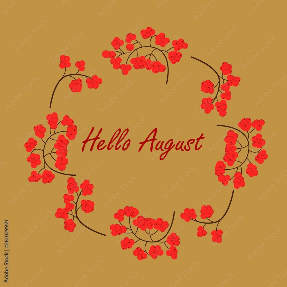 Hello August background with rowan branches. Vector illustration. Colorful