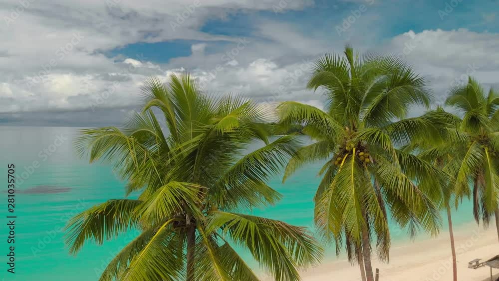 Port Orly sandy beach with palm trees, Espiritu Santo Island, Vanuatu. Port Orly sandy beach with palm trees, Espiritu Santo Island, Vanuatu.