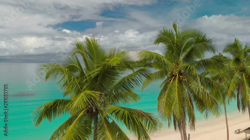 Wallpaper Mural Port Orly sandy beach with palm trees, Espiritu Santo Island, Vanuatu. Torontodigital.ca