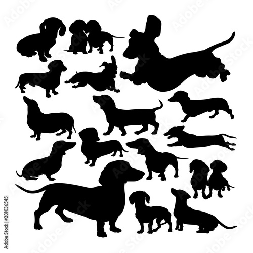 Dachshund  dog animal silhouettes. Good use for symbol, logo,  web icon, mascot, sign, or any design you want.