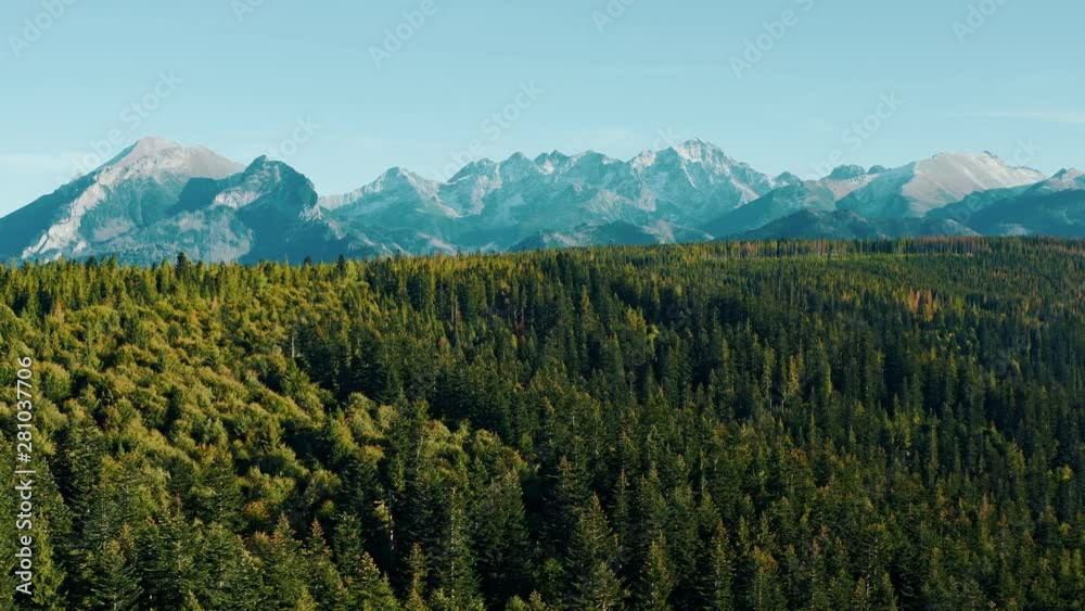 mountains on a sunny day with forest in colors of autumn mountains on a sunny day with forest in colors of autumn