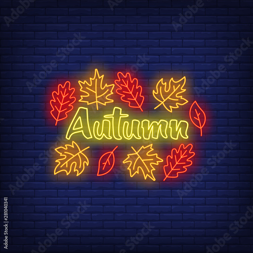 Autumn neon sign. Word, text, fall leaves. Autumn concept. Vector illustration in neon style, glowing element for sale banners, seasonal posters, flyers