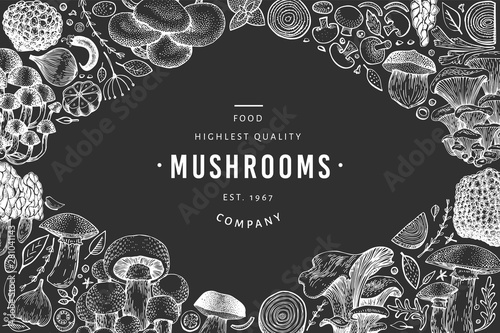 Mushroom design template. Hand drawn vector food illustration on chalk board. Engraved style. Vintage mushrooms different kinds background.