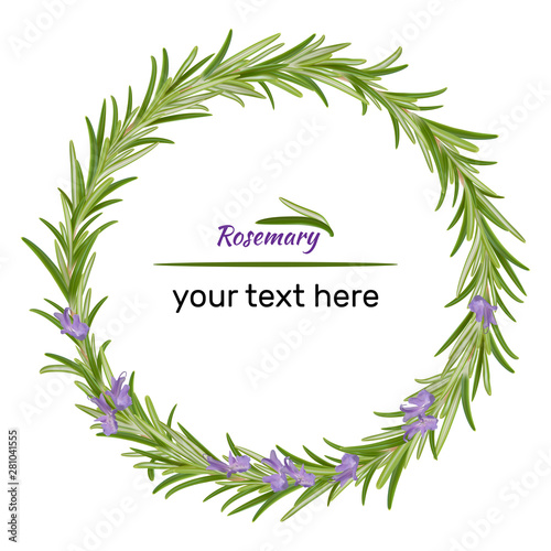Wreath of rosemary branches. Vector illustration of herbs.