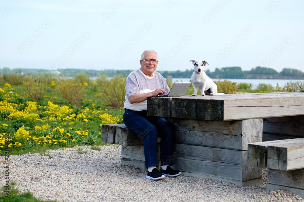 Obraz premium senior people, old age, lifestyle, distance learning concept. Smiling Senior man 70-75 years old sitting on wooden bench in summer park with dog jack russell terrier and working on laptop computer