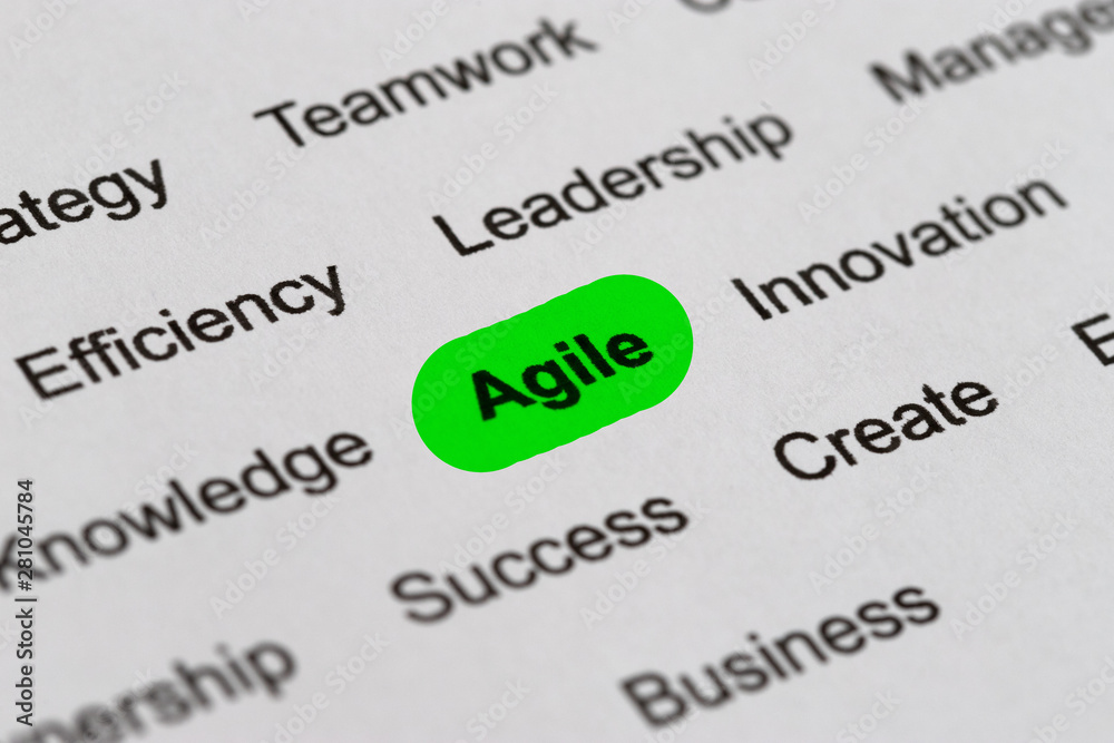 Agile - Project Management Buzzwords, Printed on White Paper and Highlighted