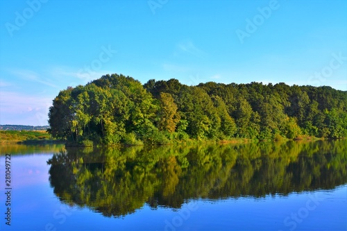 a green forest mirrored in the lake
