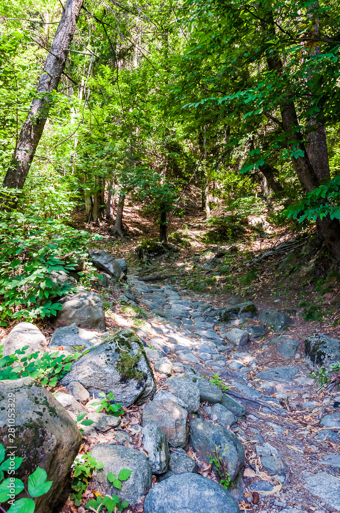 Dorf Tirol, Fitnessweg, Tiroler Kreuz, Wanderweg, Wald, Schlosswald, Vinschgau, Südtirol, Sommer, Italien Dorf Tirol, Fitnessweg, Tiroler Kreuz, Wanderweg, Wald, Schlosswald, Vinschgau, Südtirol, Sommer, Italien