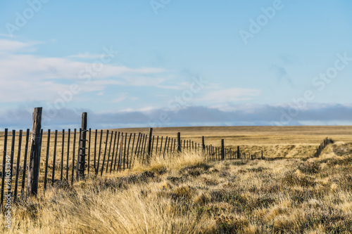 Amazing landscape view golden yellow dried glass hill with fence in autumn with cloud blue sky in south Patagonia, Chile and Argentina, most iconic beautiful tourism place