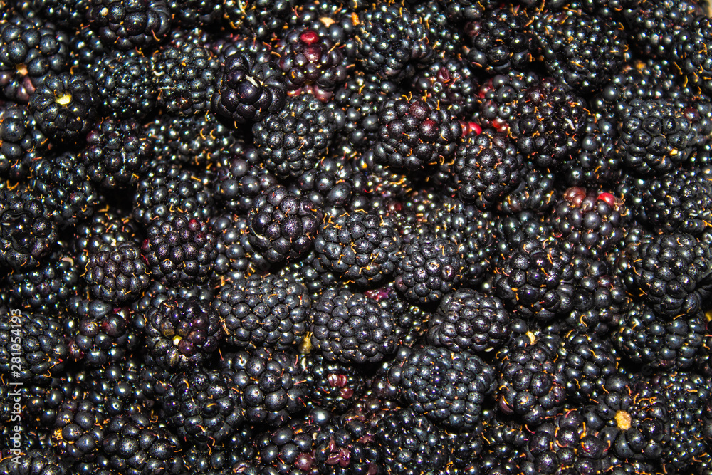 A good handful of blackberries A good handful of blackberries