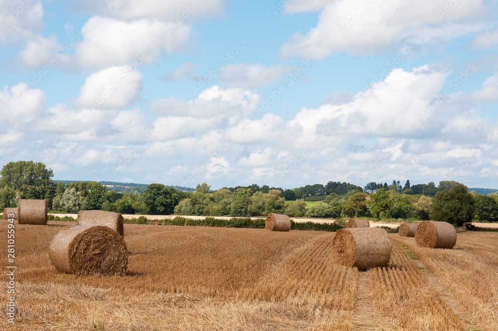 Straw bales in the summertime of the United Kingdom, 