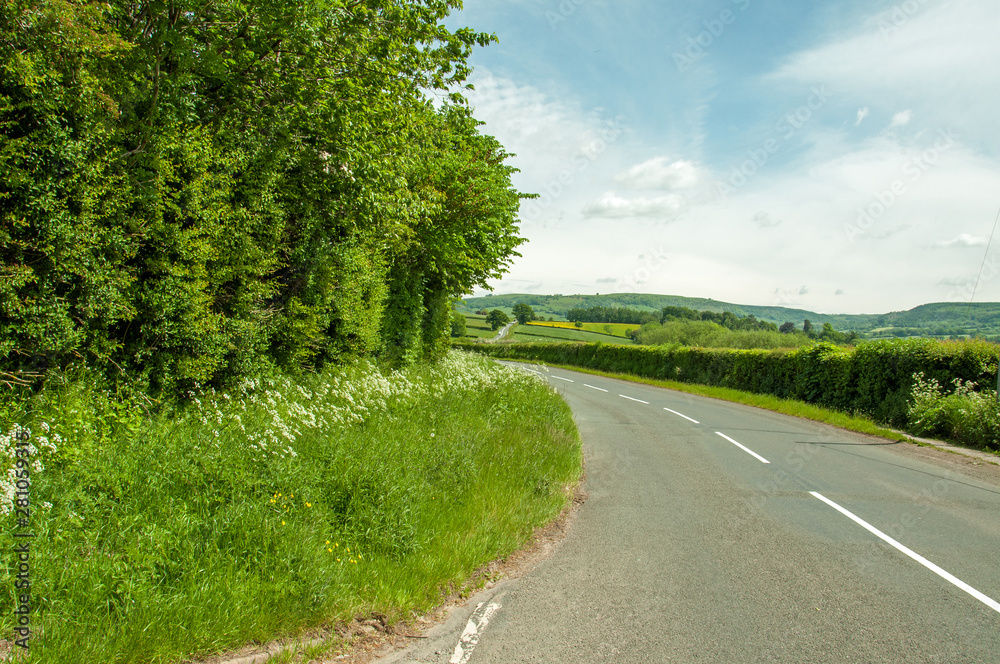 Summer roadside near Hay on Wye, England and Wales.