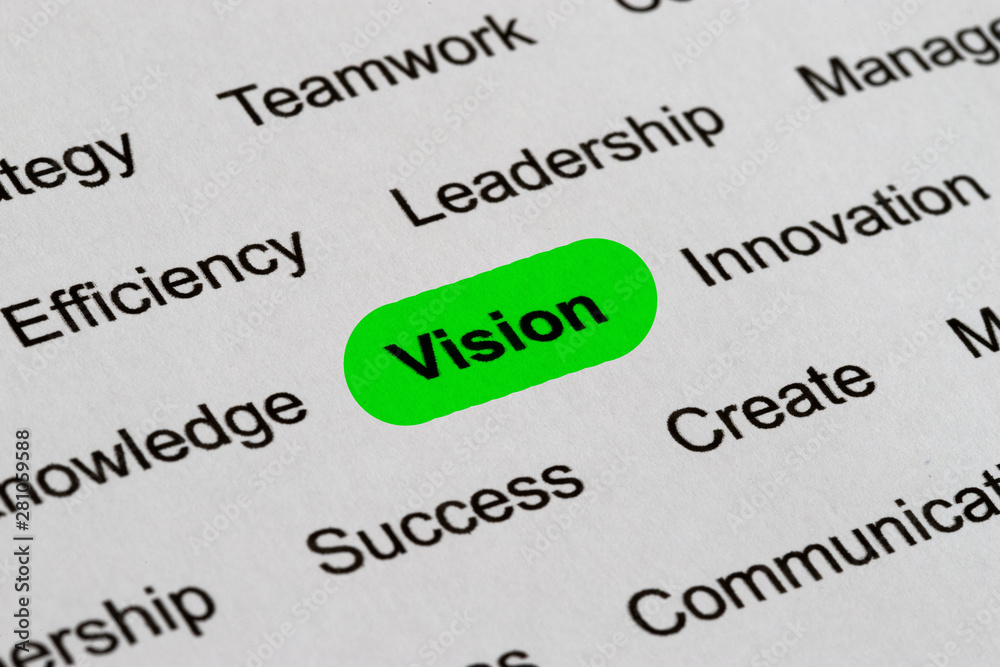 Vision - Business Buzzwords, printed on white paper and highlighted Vision - Business Buzzwords, printed on white paper and highlighted