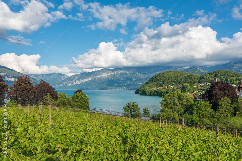 Naklejka premium Landscape with Lake Thun near Spiez