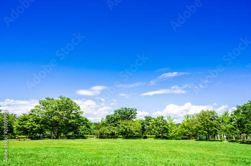青空と緑の公園 © oben901