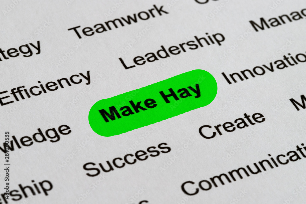 Make Hay - Business Buzzwords, printed on white paper and highlighted